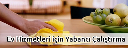Ev Hizmetleri Çalışma İzni